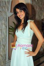 Genelia D Souza at Life Partner success bash hosted by Tusshar Kapoor in Tusshar_s House on 5th Sep 2009 (13).JPG
